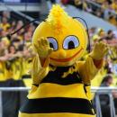 A Bee, Skra Bełchatów mascot
